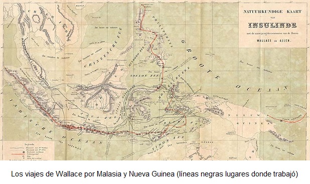 viaje de wallace y darwin